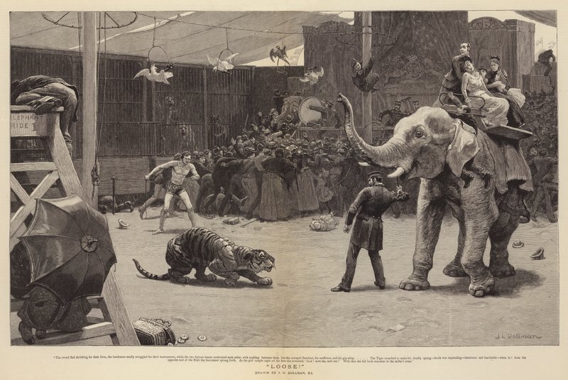 Solto! de John Charles Dollman