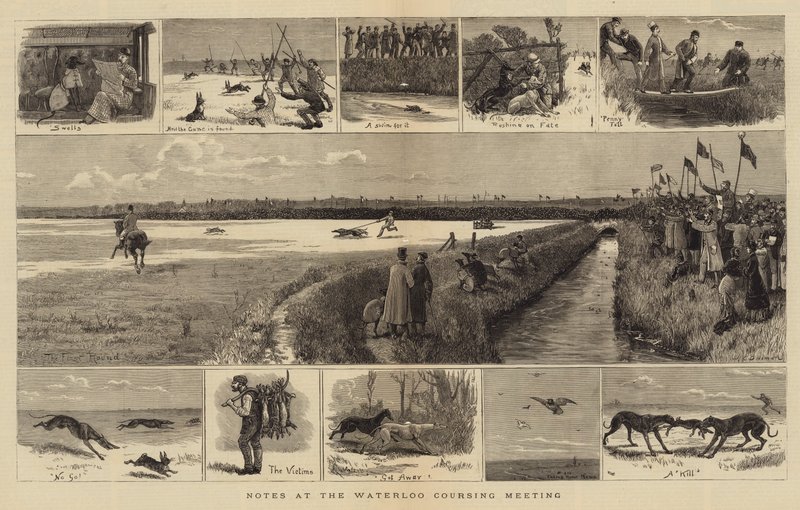 Notas na reunião de Waterloo Coursing de John Charles Dollman