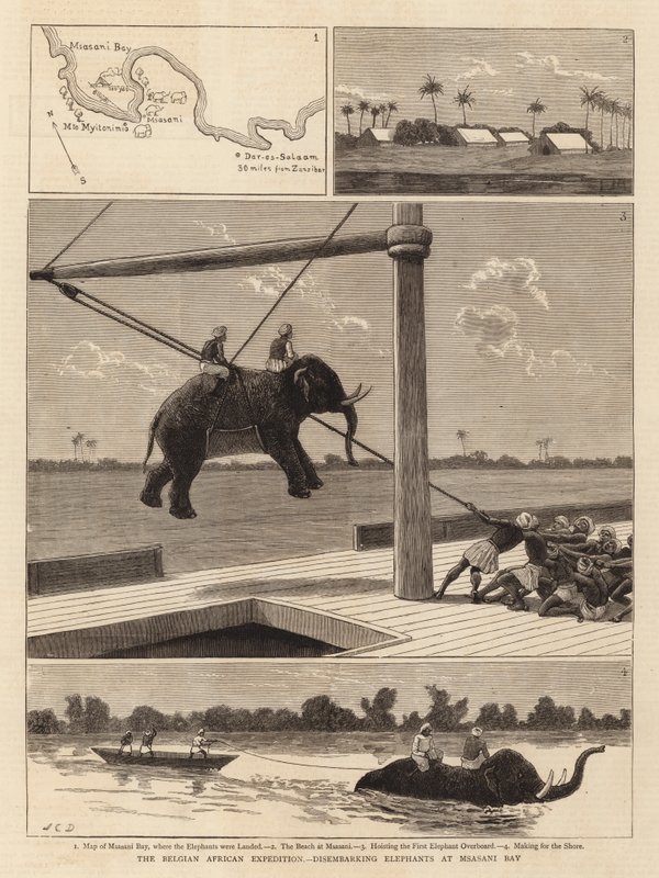 A Expedição Africana Belga, desembarcando Elefantes na Baía de Msasani de John Charles Dollman