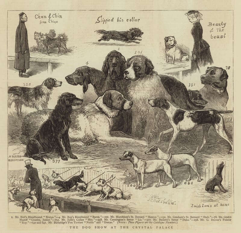 O Show de Cães no Palácio de Cristal de John Charles Dollman