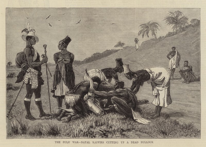 A Guerra Zulu, Natal Kaffirs cortando um Bullock Morto de John Charles Dollman