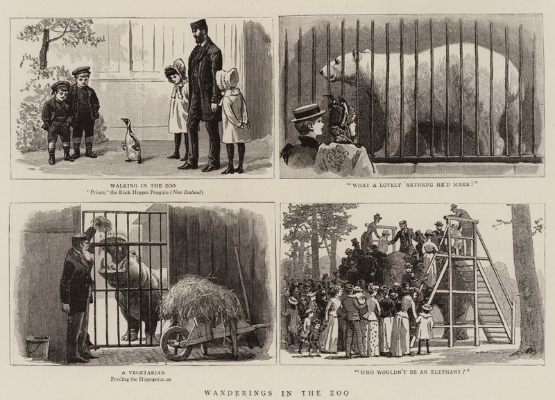 Wanderings no jardim zoológico de John Charles Dollman