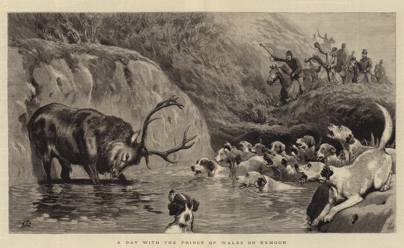 Um dia com o Príncipe de Gales em Exmoor de John Charlton