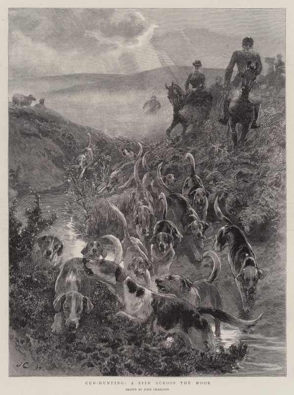 Cub-Hunting, um giro pelo mouro de John Charlton