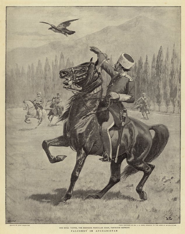 Falcoaria no Afeganistão de John Charlton