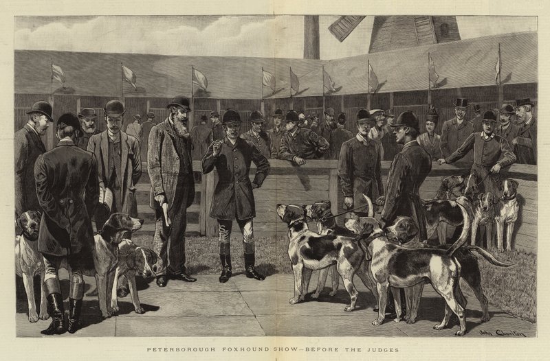 Peterborough Foxhound Show, antes dos juízes de John Charlton