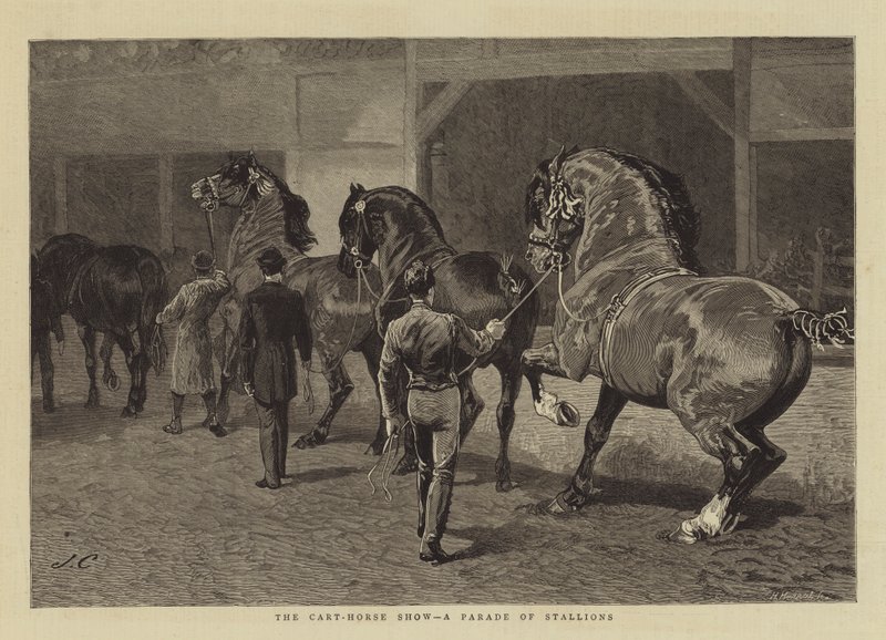O Show do Cart-Horse, um desfile de garanhões de John Charlton