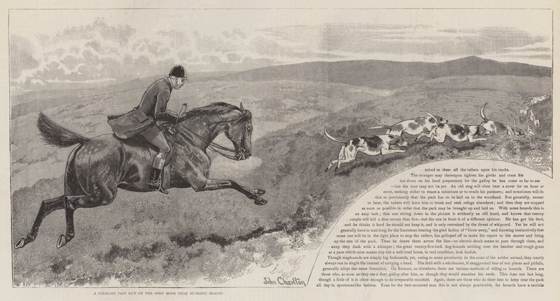 A perseguição do cervo vermelho selvagem no Exmoor de John Charlton