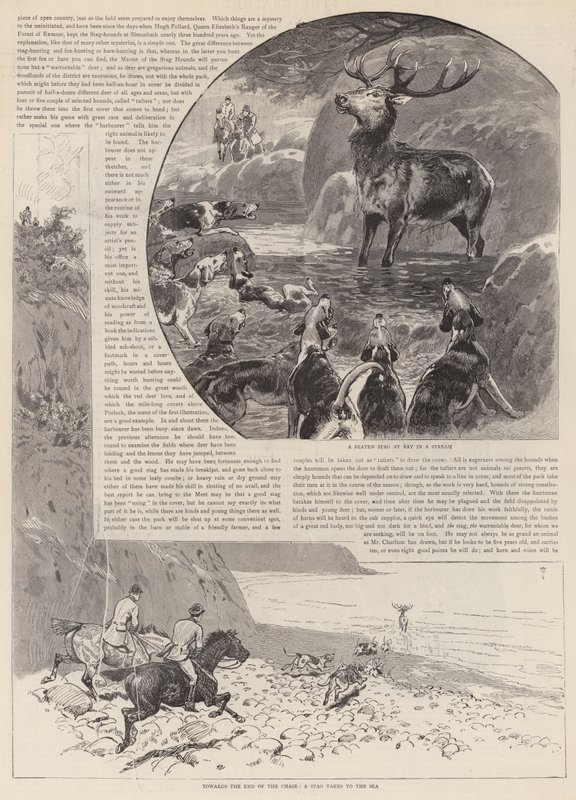 A perseguição do cervo vermelho selvagem no Exmoor de John Charlton