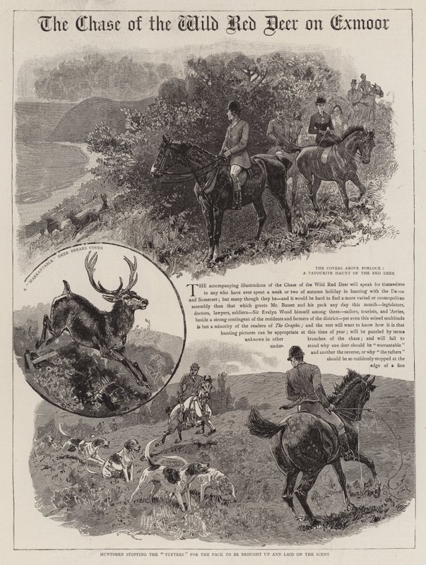 A perseguição do cervo vermelho selvagem no Exmoor de John Charlton