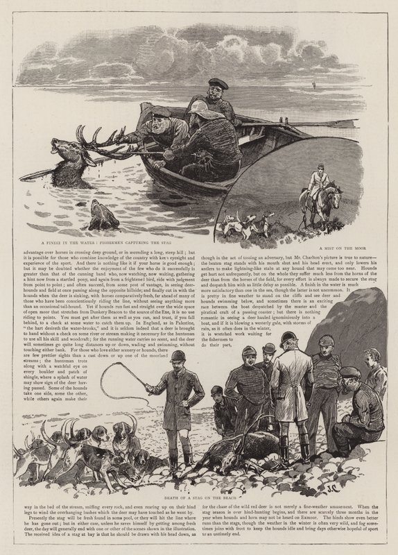 A perseguição do cervo vermelho selvagem no Exmoor de John Charlton