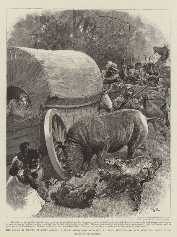 Os perigos da viagem na África do Sul, um rinoceronte negro atacando a carroça de um caçador de Griqua perto do rio Bubye de John Charlton