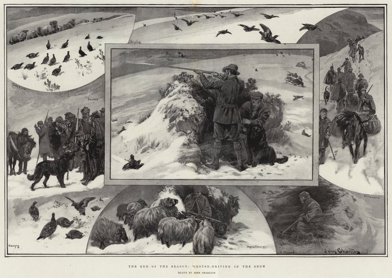 O final da temporada, Grouse-dirigindo na neve de John Charlton