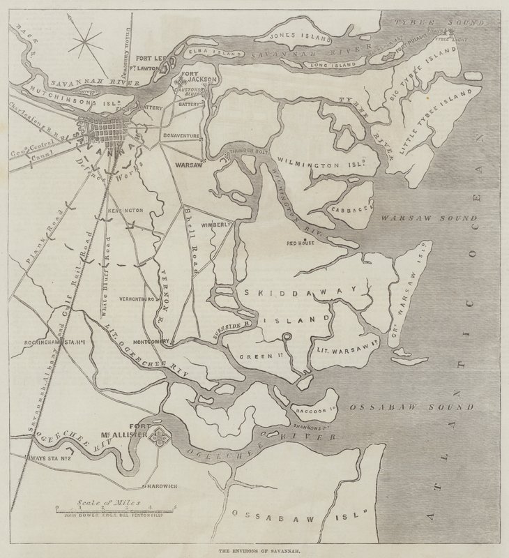 Os arredores de Savannah de John Dower