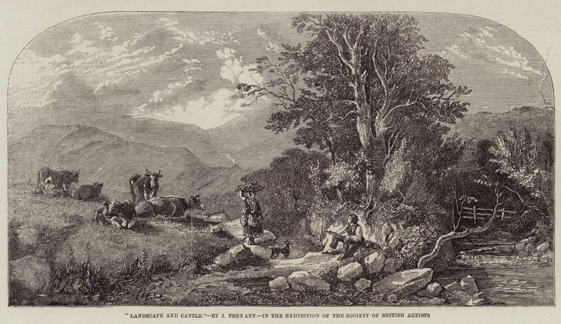 Paisagem e Gado de John F. Tennant