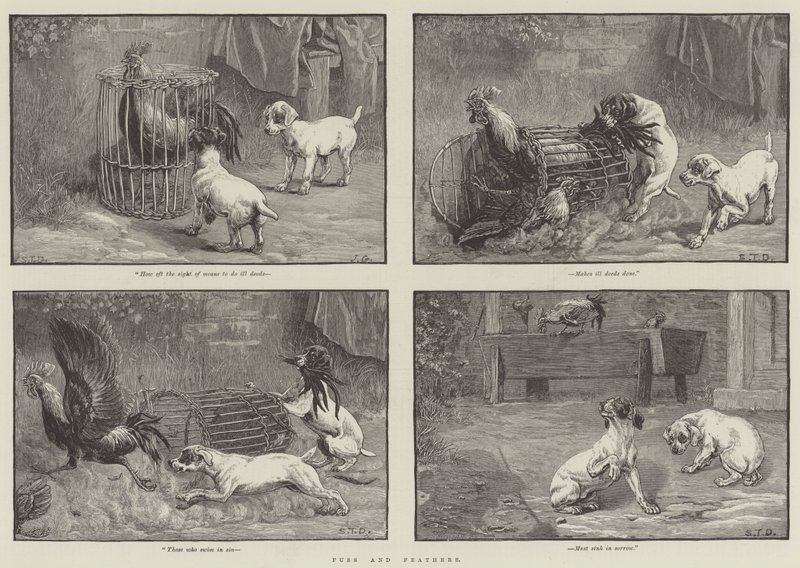 Alarido e Penas de John Gilbert