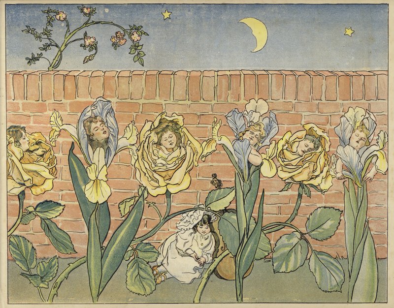 Endpapers para lendas de flores para crianças de John Shenton Eland