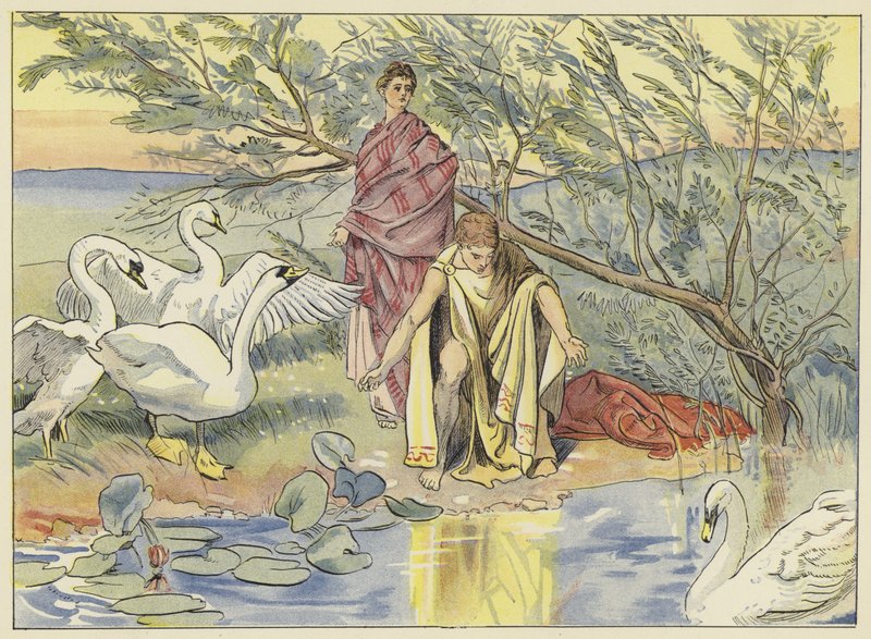 Narciso de John Shenton Eland