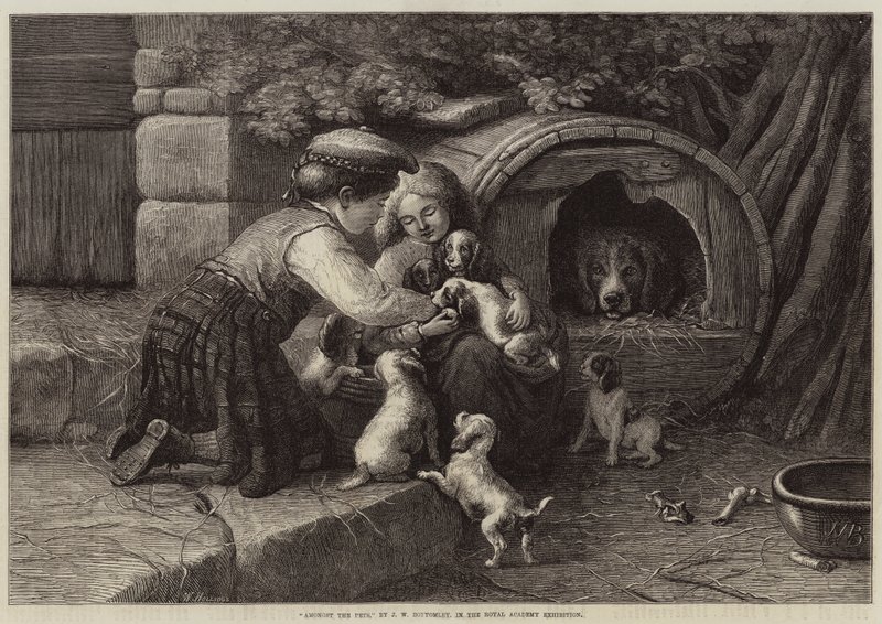 Entre os animais de estimação de John William Bottomley