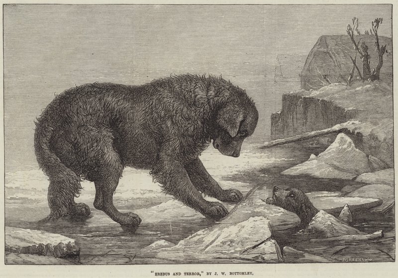 Erebus e Terror de John William Bottomley