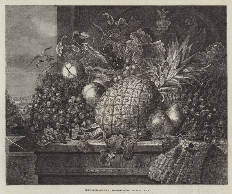 Prêmio de frutas cultivadas em Blenheim de John Wykeham Archer