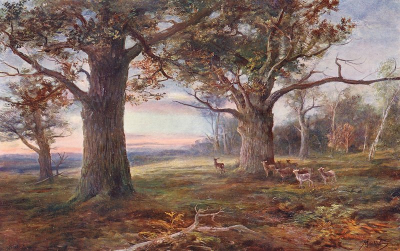Na orla da floresta de Sherwood (litografia a cores) de John (after) MacWhirter