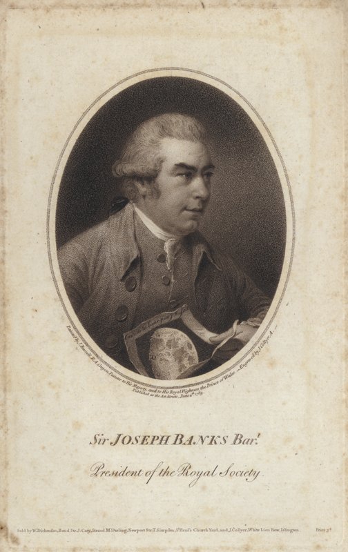 Sir Joseph Banks, naturalista inglês, botânico e presidente da Royal Society (gravura) de John (after) Russell
