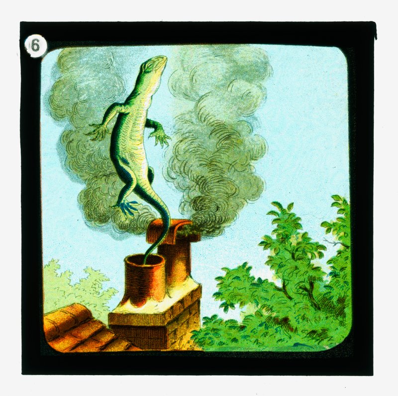 Alice no País das Maravilhas, Cor da Lanterna Slides (slide da lanterna) de John (after) Tenniel