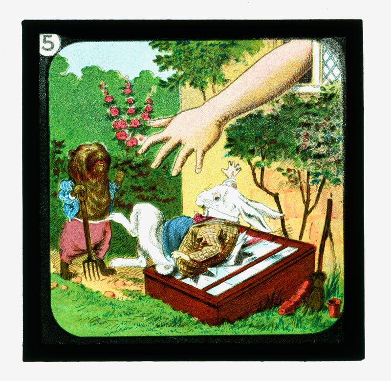Alice no País das Maravilhas, Cor da Lanterna Slides (slide da lanterna) de John (after) Tenniel