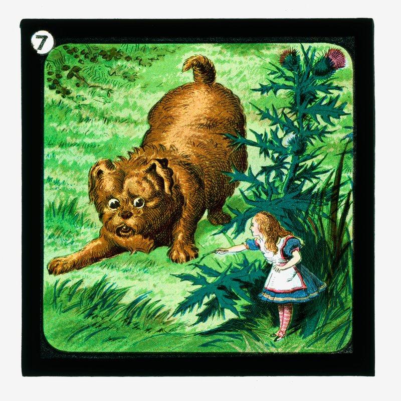 Alice no País das Maravilhas, Cor da Lanterna Slides (slide da lanterna) de John (after) Tenniel