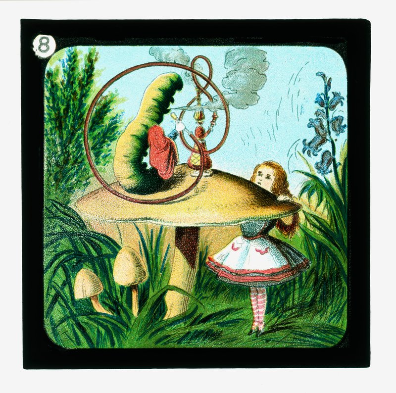 Alice no País das Maravilhas, Cor da Lanterna Slides (slide da lanterna) de John (after) Tenniel