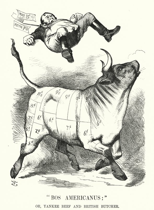 Soco cartoon: Bos Americanus; ou, Yankee Beef and British Butcher - benefícios esperados para os consumidores da importação de carne americana (gravura) de John (after) Tenniel