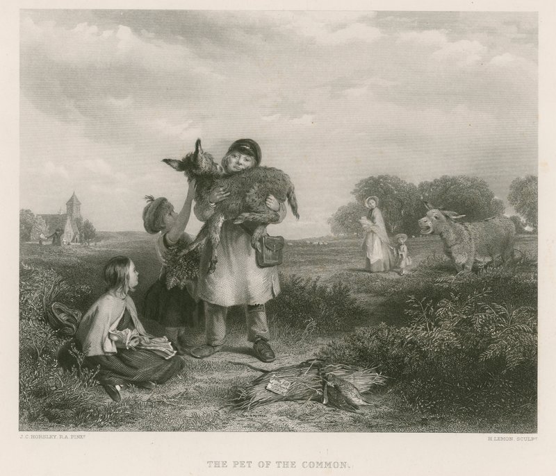 O animal de estimação da terra comum de John Callcott Horsley