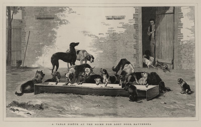 Uma mesa de mesa na casa de Lost Dogs, Battersea de John Charles Dollman