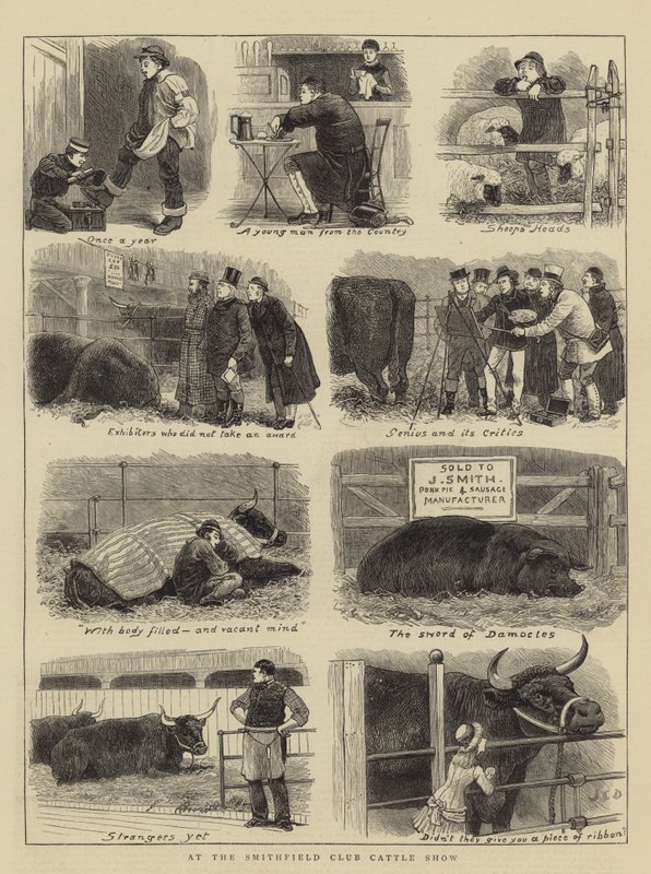 No Smithfield Club Cattle Show de John Charles Dollman