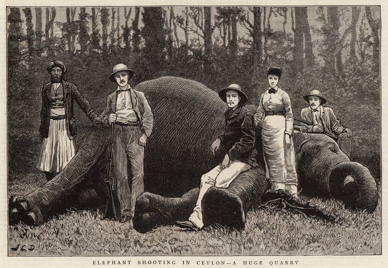 Tiro de elefante no Ceilão, uma enorme pedreira de John Charles Dollman