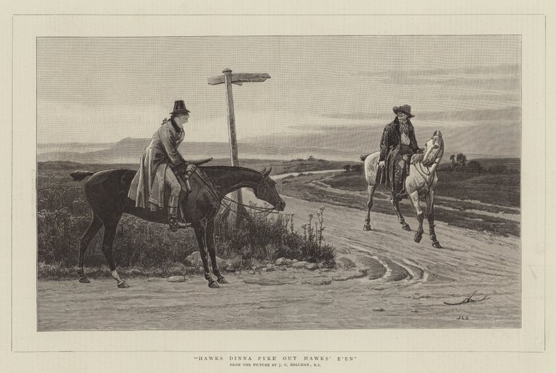 Falcões Dinna Pyke Out Hawks de John Charles Dollman