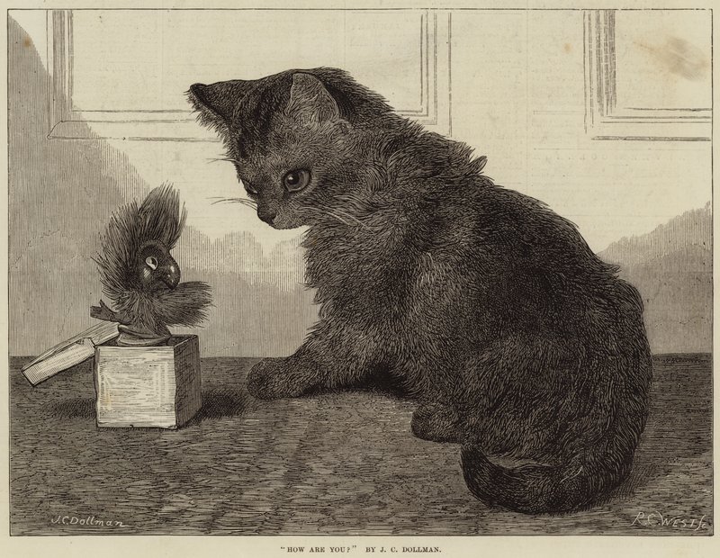 Como você está de John Charles Dollman