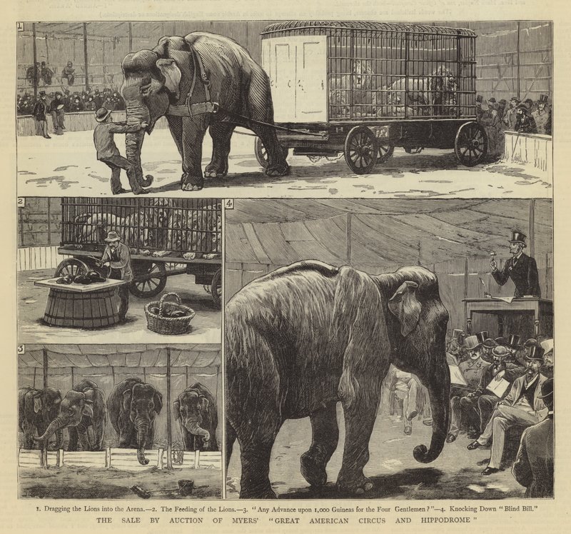 A venda em leilão do Grande Circo Americano e Hipódromo de Myers de John Charles Dollman