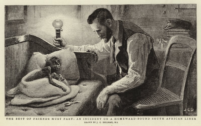 O melhor dos amigos deve participar, um incidente em um forro da África do Sul ligado a Homeward de John Charles Dollman