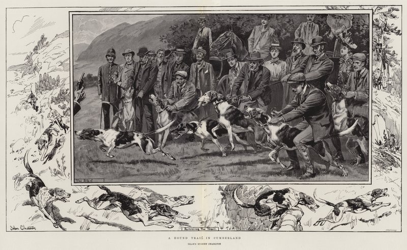 Uma trilha de cão em Cumberland de John Charlton