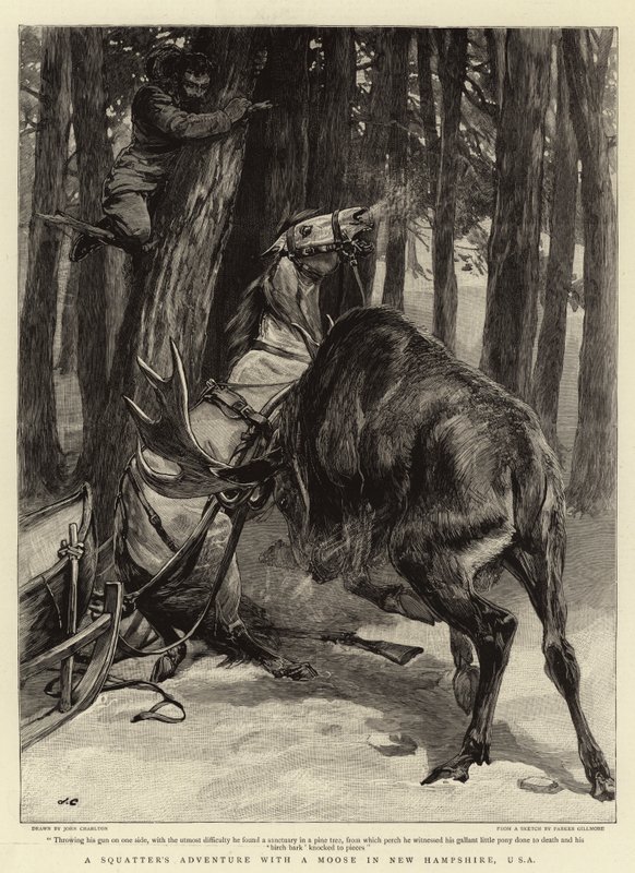 A aventura de um invasor com um alce em New Hampshire, EUA de John Charlton