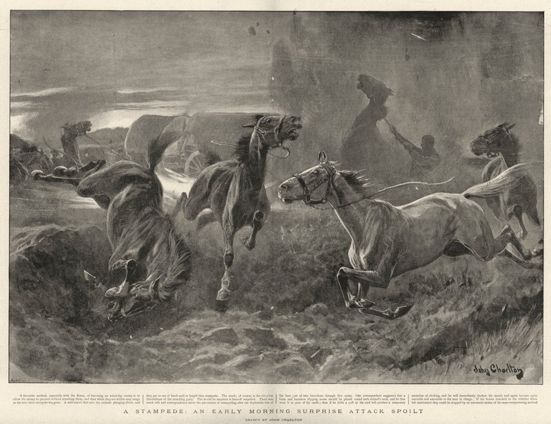 Um Stampede, um ataque de surpresa no início da manhã estragado de John Charlton