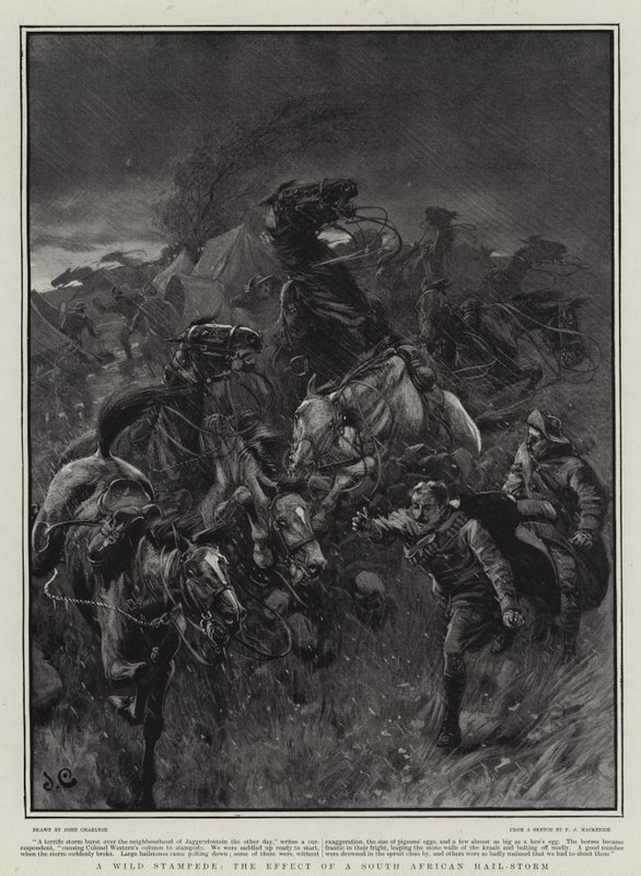 Uma debandada selvagem, o efeito de uma tempestade de granizo sul-africana de John Charlton