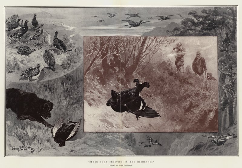 Black Game Shooting nas Terras Altas de John Charlton