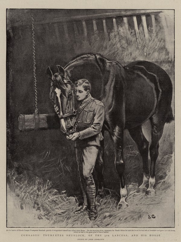 Camaradas, Trumpeter Shurlock, dos 5 Lancers, e seu cavalo de John Charlton