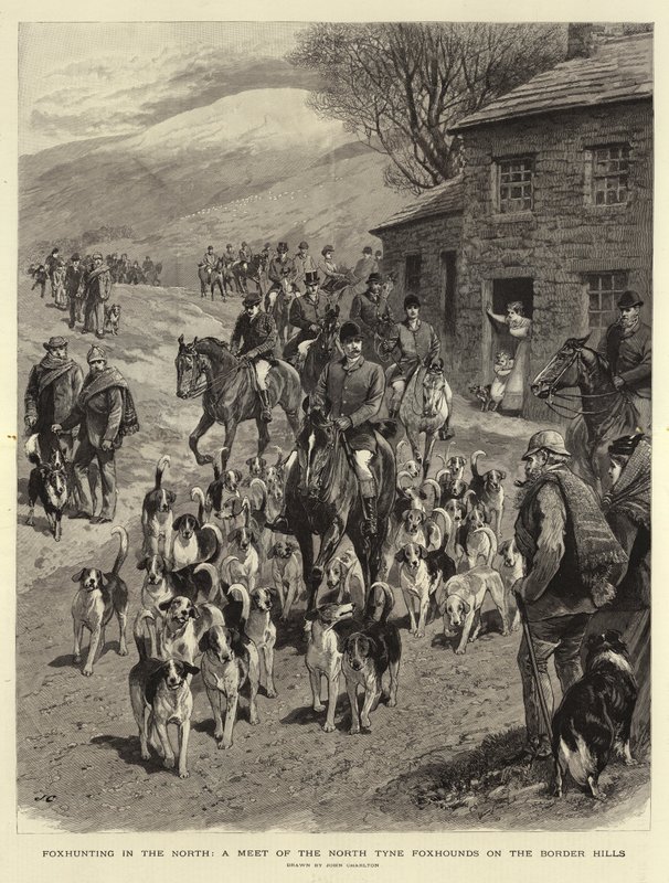 Caça às Raposas no Norte, um encontro dos Foxhounds de North Tyne em Border Hills de John Charlton