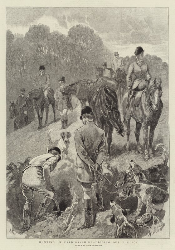 Caça em Cardiganshire, escavando a raposa de John Charlton