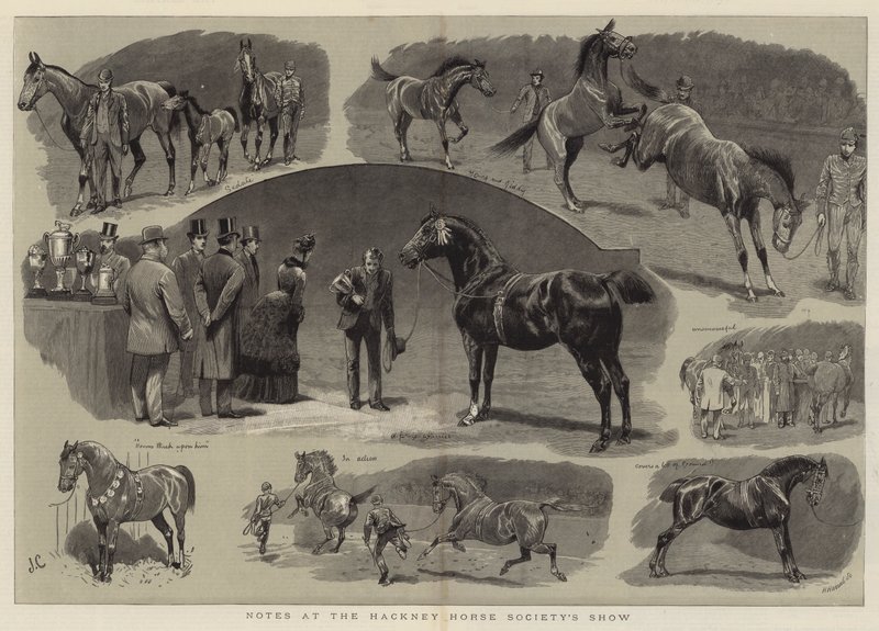 Notas no Show da Hackney Horse Society de John Charlton