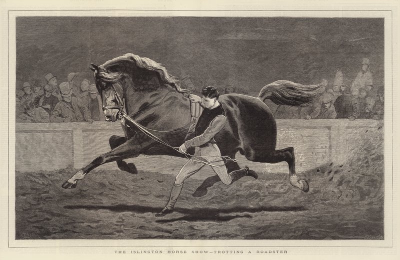 O Islington Horse Show, trote de um Roadster de John Charlton